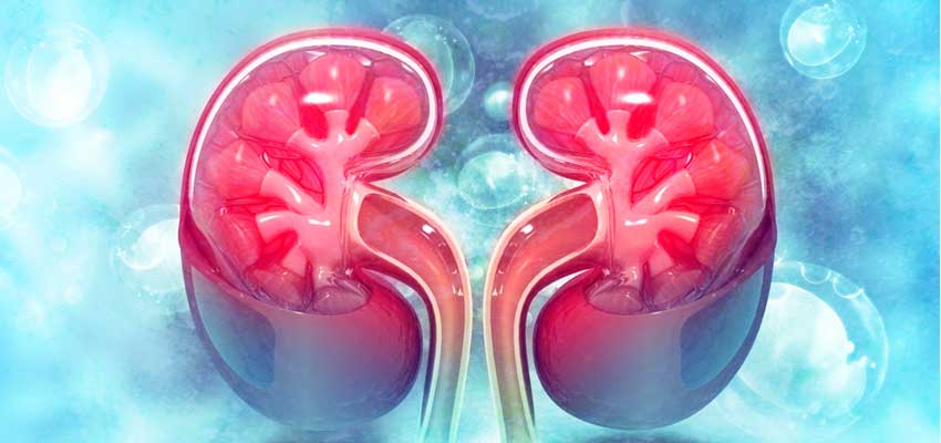 Nephrotic Syndrome